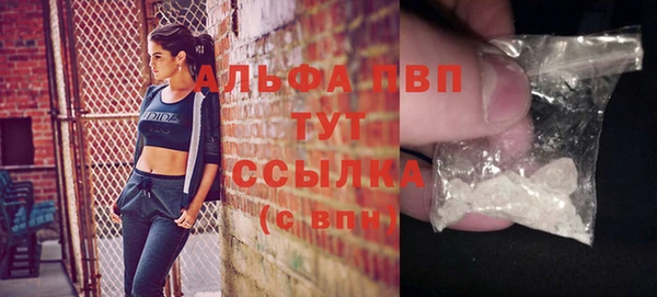 эйфоретик Баксан