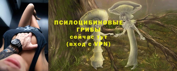 прущие крисы Балабаново