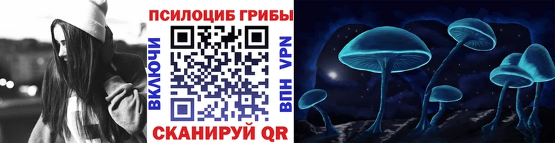 mega ссылка  Новомичуринск  Галлюциногенные грибы Psilocybe 